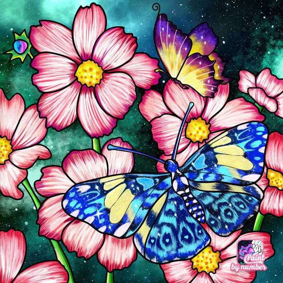 Meet your Posher, Mandy - Picture 1 of 1